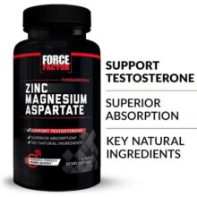 d8a2d8b3d9bed8a7d8b1d8aad8a7d8aa d8b1d988db8c d985d986db8cd8b2db8cd985 d981d988d8b1d8b3 d981d8a7daa9d8aad988d8b1 force factor zinc magnesium aspar 65a8622c7e0da