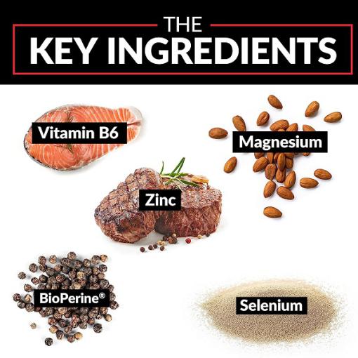 d8a2d8b3d9bed8a7d8b1d8aad8a7d8aa d8b1d988db8c d985d986db8cd8b2db8cd985 d981d988d8b1d8b3 d981d8a7daa9d8aad988d8b1 force factor zinc magnesium aspar 65a8622e85d52