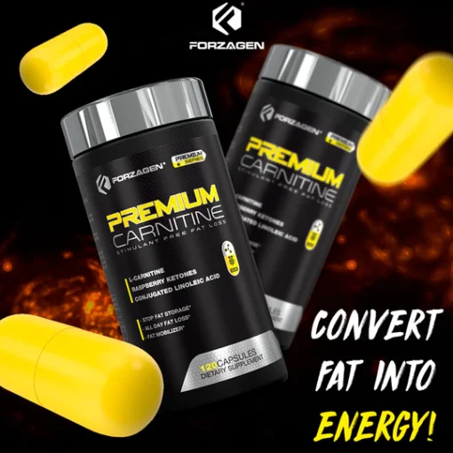 d8a7d984 daa9d8a7d8b1d986db8cd8aadb8cd986 d9bed8b1db8cd985d988d986 d981d988d8b1d8b2d8a7da98d986 forzagen premium l carnitine 65a86e04dcb8e