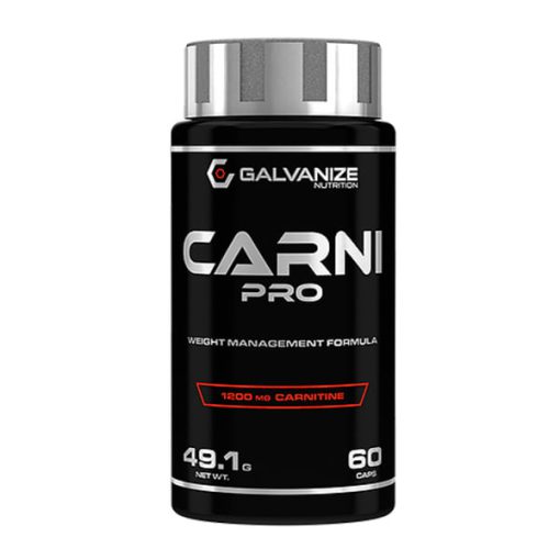 d8a7d984daa9d8a7d8b1d986d8aadb8cd986 daa9d8a7d8b1d986db8c d9bed8b1d988 daafd8a7d984d988d8a7d986d8a7db8cd8b2 65a867b1980d2