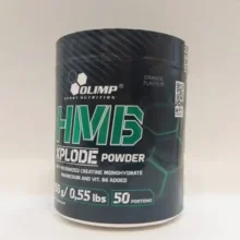 d8a7da86 d8a7d985 d8a8db8c 250 daafd8b1d985db8c d8a7d984db8cd985d9be 65a8613296597 e1706197478961