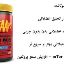 d8a7db8c d8a7db8c d8a7db8c d985d988d8aad8a7d986d8aa mutant geear 65a85e7e620e4 e1706202393305