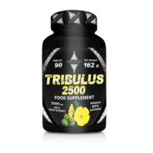 تریبولوس ازگارد AZGARD TRIBULUS 2500