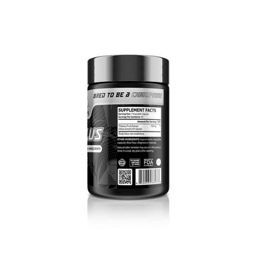 d8aad8b1db8cd8a8d988d984d988d8b3 daa9d988d8b1 da86d985d9bed8b3 core champs tribulus 65a860c0eafa1