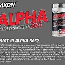 d985daa9d985d984 d8a2d984d981d8a7 365 daafd984daa9d8b3d988d986 65a8631365b3f