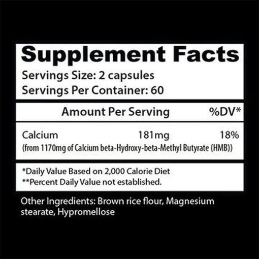 d985daa9d985d984 d8a7da86 d8a7d985 d8a8db8c d8a7db8cd986d8b3db8cd986 d984d8a8d8b2 65a86054263ab