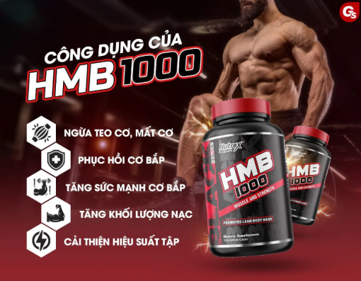 d985daa9d985d984 d8a7da86 d8a7d985 d8a8db8c d986d8a7d8aad8b1daa9d8b3 65a85a978833c