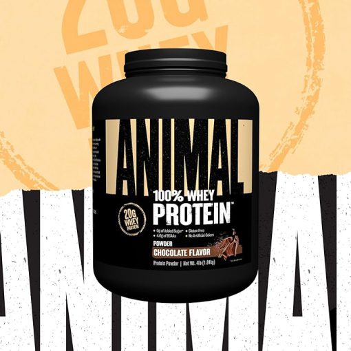 پروتئین انیمال وی یونیورسال Universal Nutrition Animal Whey 662693b8396ee.jpeg