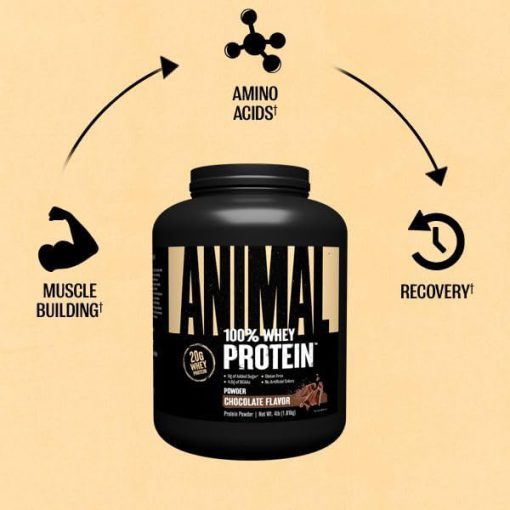 پروتئین انیمال وی یونیورسال Universal Nutrition Animal Whey 662693c4d8c6b.jpeg