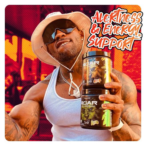 d9bed985d9be d8b1d988d984 d988d8a7d986 r1 roar d8add8a7d988db8c d8a7d984daa9d8aad8b1d988d984db8cd8aa 65a85dcdf2f4b