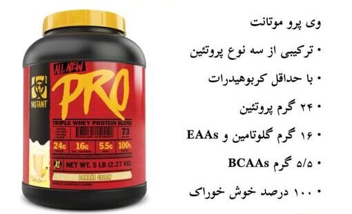 d9bed988d8afd8b1 d9bed8b1d988d8aad8a6db8cd986 d988db8c d9bed8b1d988 d985d988d8aad8a7d986d8aa mutant pro 65a8619629eb7 e1706197209909