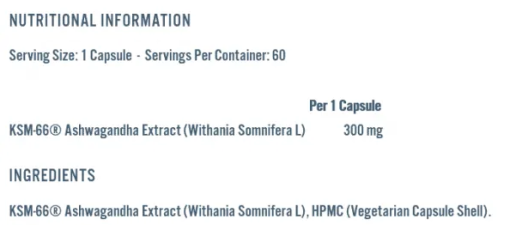 daa9d9bed8b3d988d984 d8a2d8b4d988d8a7daafd8a7d986d8afd8a7 d8a7d9bed984d8a7db8cd8af d986d988d8aad8b1db8cd8b4d986 65a85ada1a351