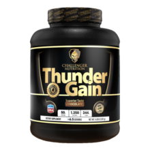 گینر تاندرگین چلنجر